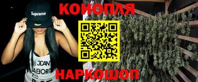 гашик Гусев