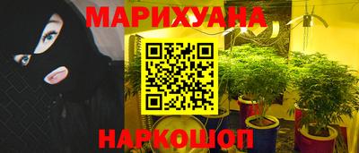 гашик Гусев