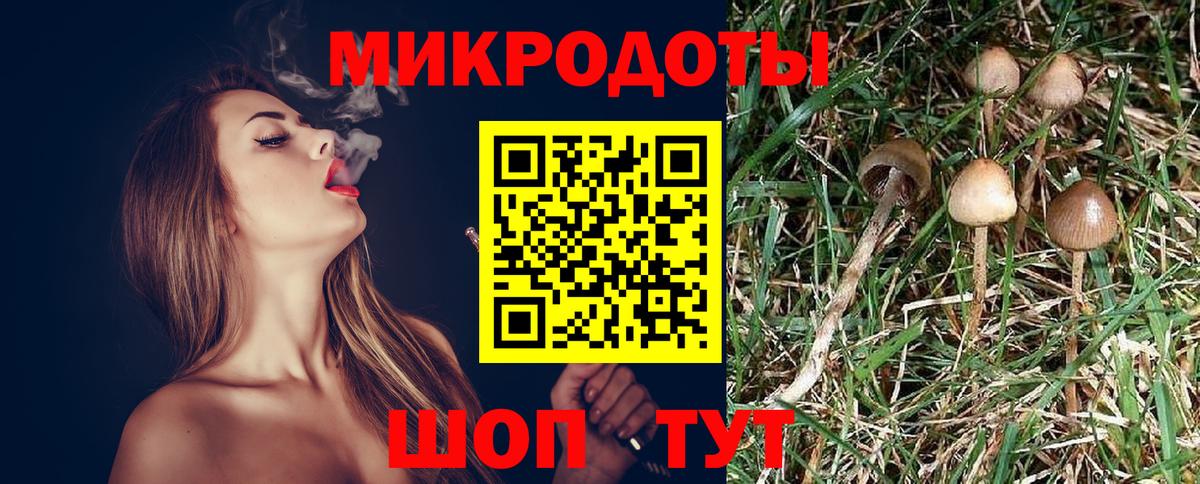 Псилоцибиновые грибы MAGIC MUSHROOMS  Галлюциногенные грибы мицелий  Мурино  Вход с VPN 